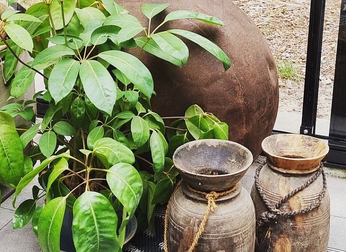 Stilvolles Wohnzimmer des Ferienhauses in Rheezerveen, Vechtstreek, Overijssel mit moderner Einrichtung und Zugang zum Wintergarten.