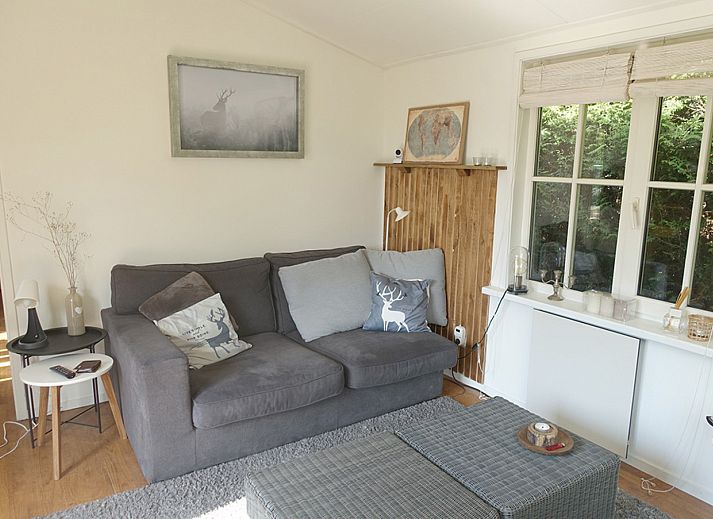 Geniessen Sie die laendliche Umgebung im Ferienhaus OV649 in Rheezerveen, Vechtstreek, Overijssel mit grasenden Kuehen in der gruenen Landschaft.