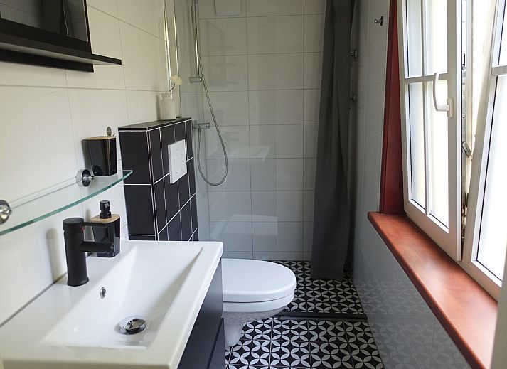 Geniessen Sie die laendliche Umgebung im Ferienhaus OV649 in Rheezerveen, Vechtstreek, Overijssel mit grasenden Kuehen in der gruenen Landschaft.