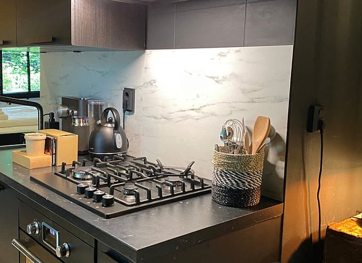 Unterkunft 541240 - Ferienhaus Vechtstreek - Vakantiehuis in Rheezerveen