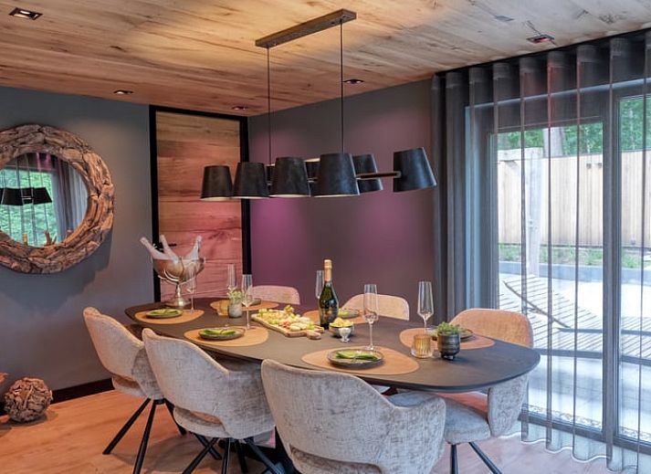 Cozy living room in Holiday Home in Rheezerveen, Vechtstreek, Overijssel with comfortable sofa and fireplace.