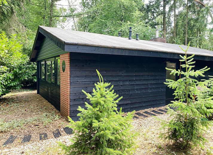 Verblijf 541264 - Vakantiewoning Vechtstreek - Dutch Cabin Houses C67