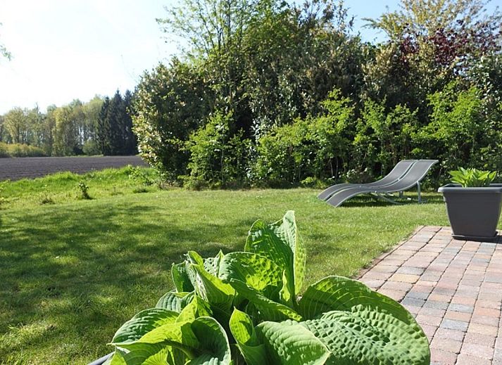 Verblijf 541265 - Vakantiewoning Vechtstreek - OV648