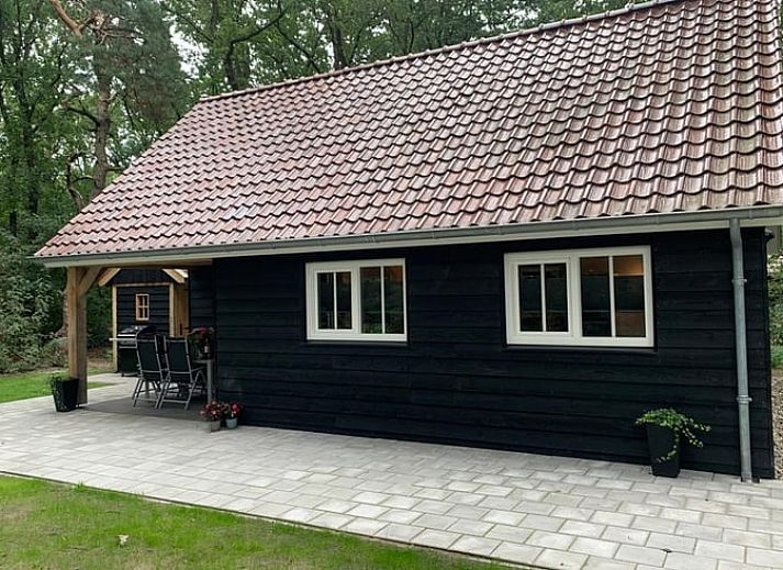 Charmantes Ferienhaus in Marienberg mitten im Gruenen in der Region Vecht, Overijssel.
