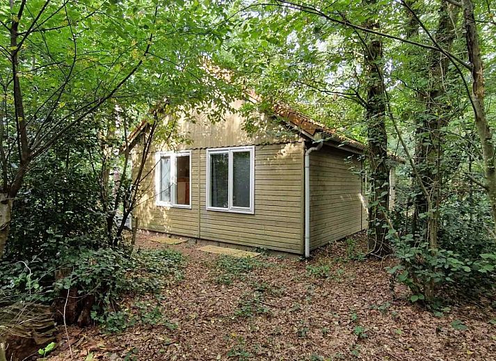 Guest house 541413 - Holiday property Vechtstreek - OV586