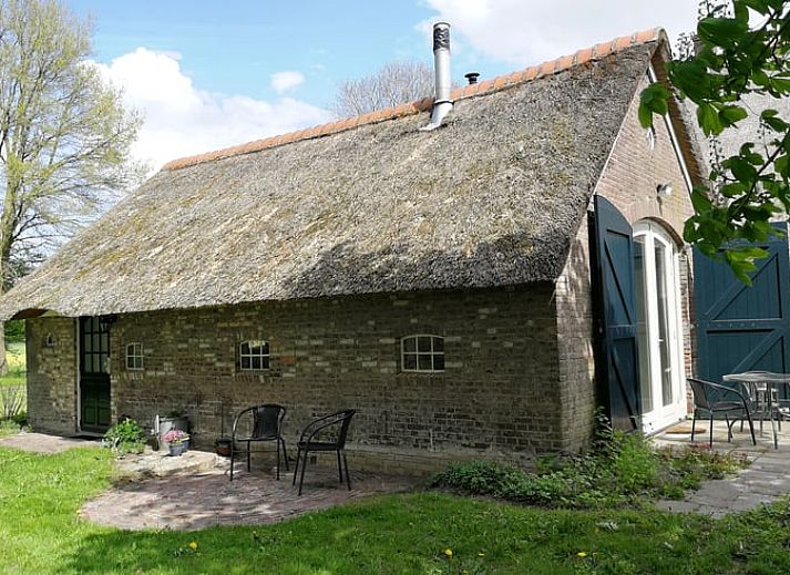 Ferienhaus in Arrien (Ommen), schoener Aussenbereich mit Terrasse in der Region Vecht, Overijssel.