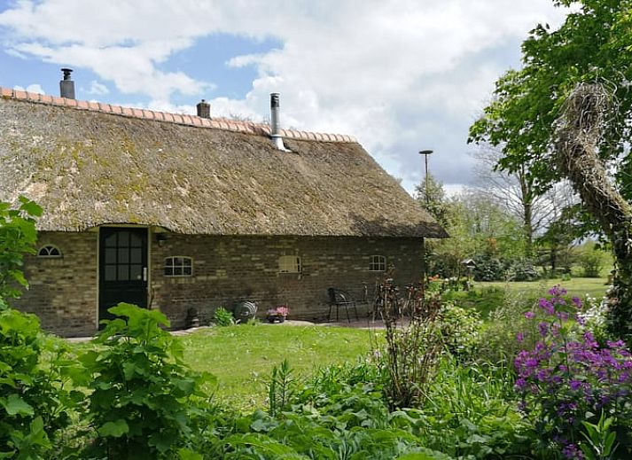 Ferienhaus in Arrien (Ommen), schoener Aussenbereich mit Terrasse in der Region Vecht, Overijssel.