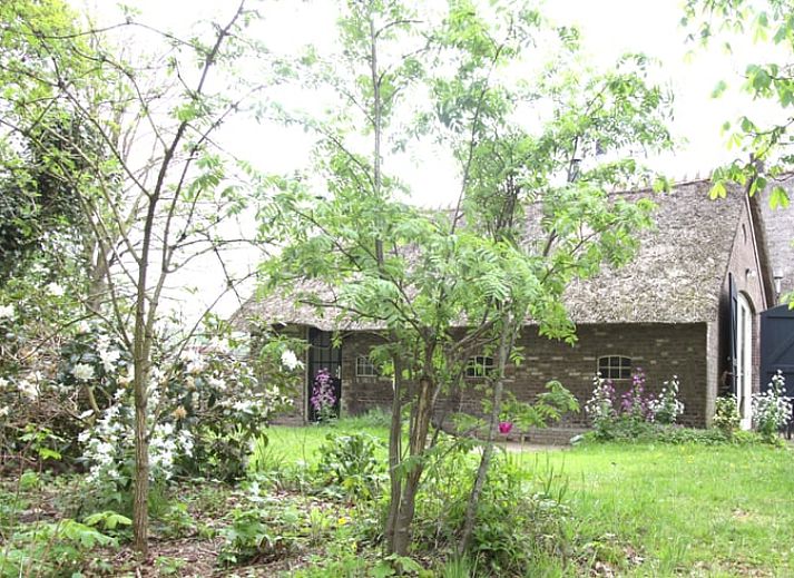 Ferienhaus in Arrien (Ommen), schoener Aussenbereich mit Terrasse in der Region Vecht, Overijssel.