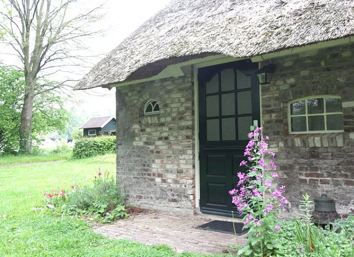 Gemuetliches Ferienhaus in Arrien (Ommen) mit Reetdach, gelegen in Vechtstreek, Overijssel.