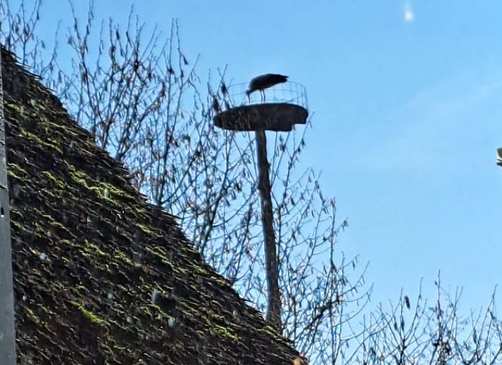 Authentisches Ferienhaus in Arrien (Ommen) mit laendlichem Charme, Region Vecht, Overijssel.
