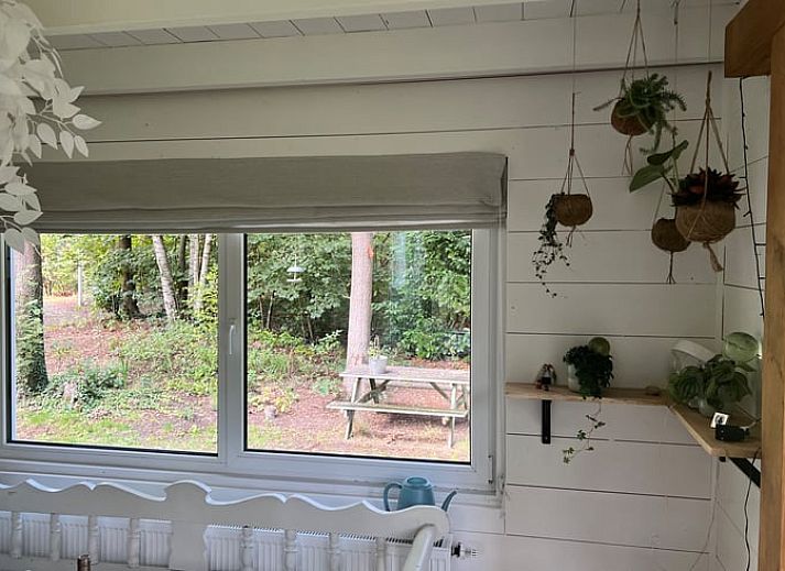 Geraeumiger Garten des Ferienhauses in Arrien in Vechtstreek, Overijssel mit viel Gruen.