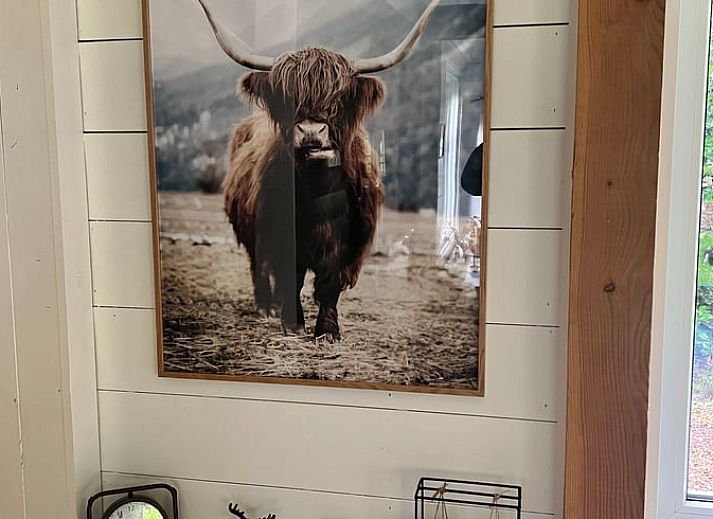 Geraeumiger Garten des Ferienhauses in Arrien in Vechtstreek, Overijssel mit viel Gruen.