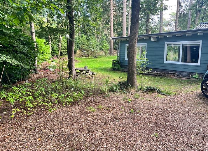 Esszimmer des Ferienhauses in Arrien mit grossen Fenstern und Blick auf die Natur in der Region Vecht, Overijssel.