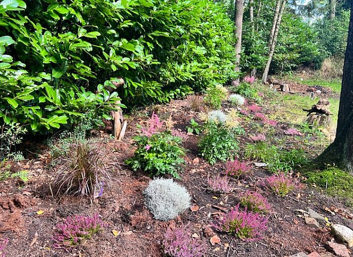 Esszimmer des Ferienhauses in Arrien mit grossen Fenstern und Blick auf die Natur in der Region Vecht, Overijssel.