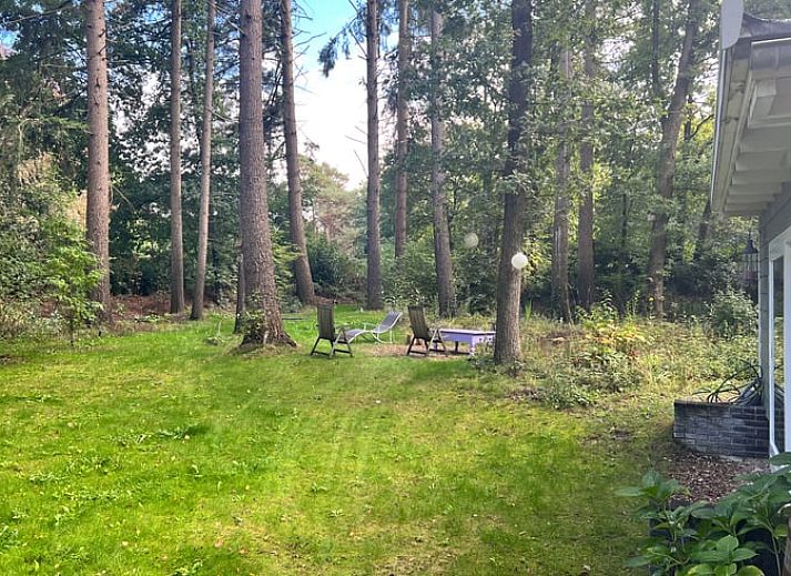 Ferienhaus in Arrien mit modernem Holzofen und dekorativen Elementen in der Region Vecht, Overijssel.