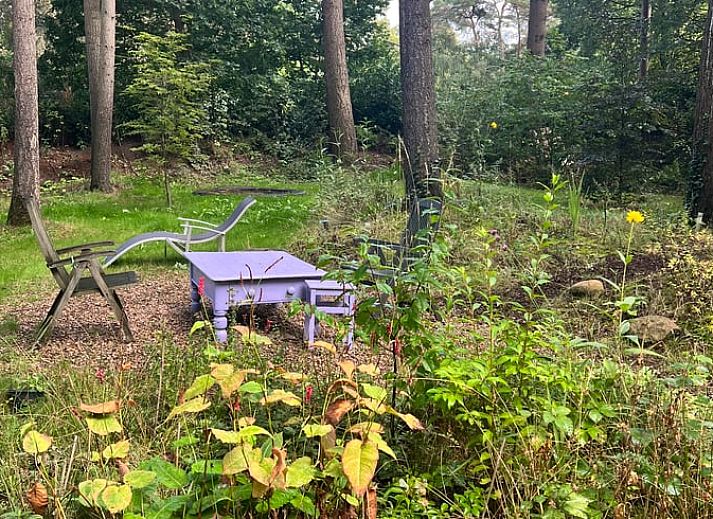 Ferienhaus in Arrien mit modernem Holzofen und dekorativen Elementen in der Region Vecht, Overijssel.