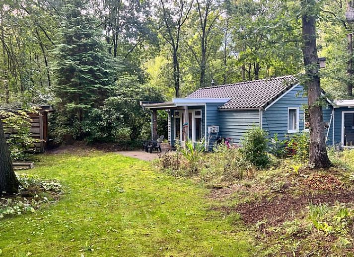 Ferienhaus in Arrien mit modernem Holzofen und dekorativen Elementen in der Region Vecht, Overijssel.