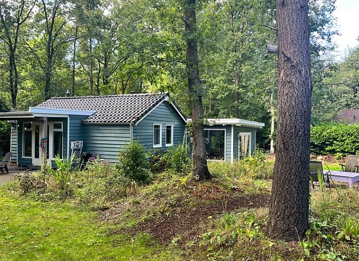 Ferienhaus in Arrien mit modernem Holzofen und dekorativen Elementen in der Region Vecht, Overijssel.