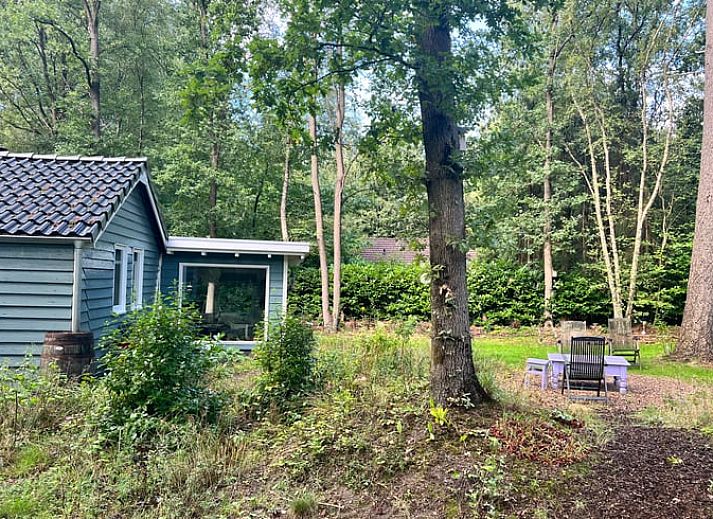 Ferienhaus in Arrien mit modernem Holzofen und dekorativen Elementen in der Region Vecht, Overijssel.