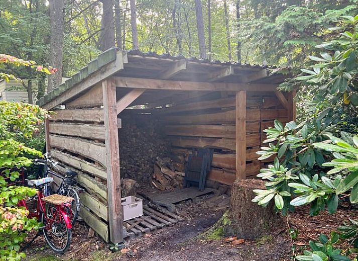 Stimmungsvolle Ecke mit Pflanzen im Ferienhaus in Arrien, gelegen in Vechtstreek, Overijssel.