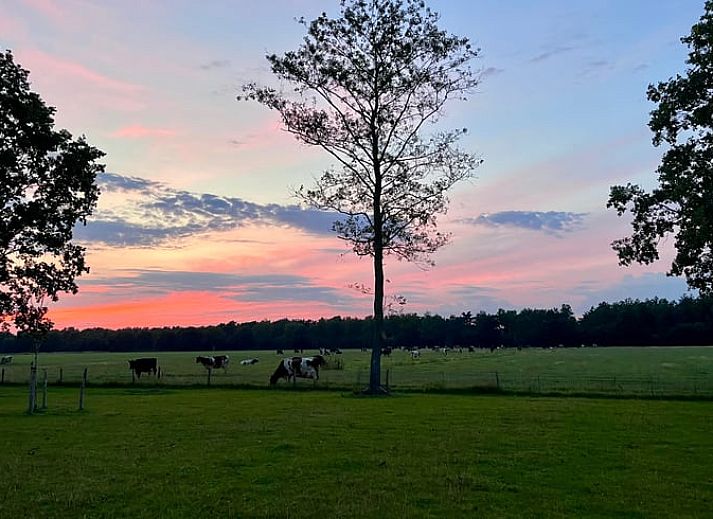 Ferienhaus in Arrien mit schoener Terrasse und gruener Umgebung, gelegen in der Region Vecht, Overijssel.