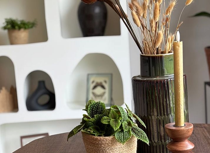 Atemberaubender Sonnenuntergang ueber den Wiesen beim Ferienhaus in Arrien, Vechtstreek, Overijssel.