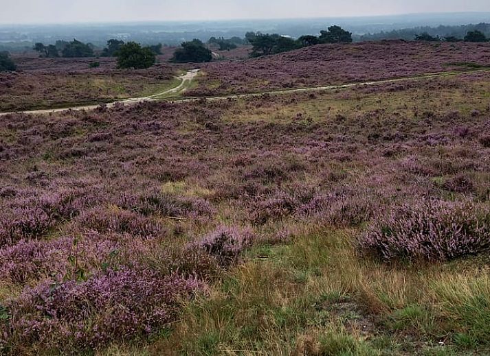 Gezellige slaapkamer in Vakantiehuisje in Giethmen, Vechtstreek, Overijssel met warme verlichting en houten accenten.