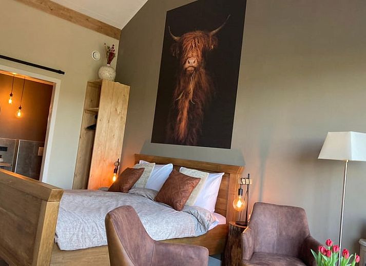 Buitenruimte van Vakantiehuisje in Giethmen, Vechtstreek, Overijssel met comfortabele zitjes en uitzicht op groene velden.