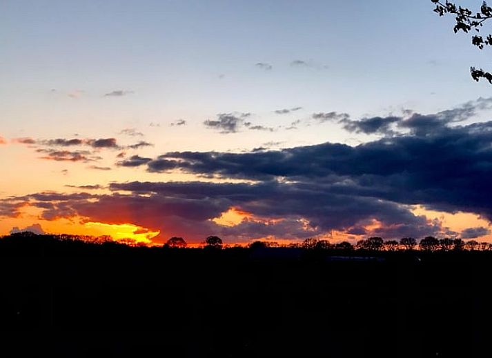 Heidevelden in de omgeving van Vakantiehuisje in Giethmen, Vechtstreek, Overijssel, perfect voor wandelingen in de natuur.