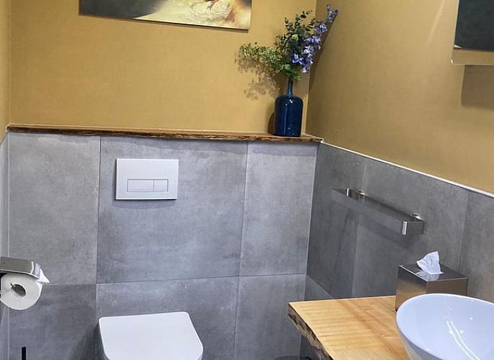 Rustieke brug over een rivier in de buurt van Vakantiehuisje in Giethmen, Vechtstreek, Overijssel, omgeven door weelderige natuur.