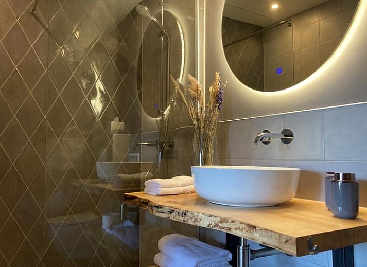 Rustieke brug over een rivier in de buurt van Vakantiehuisje in Giethmen, Vechtstreek, Overijssel, omgeven door weelderige natuur.