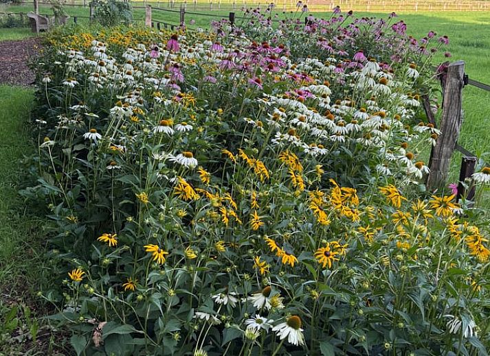 Stilvoller Flur im Ferienhaus in Giethmen, Region Vecht, mit Holzdielen und moderner Einrichtung in Overijssel.