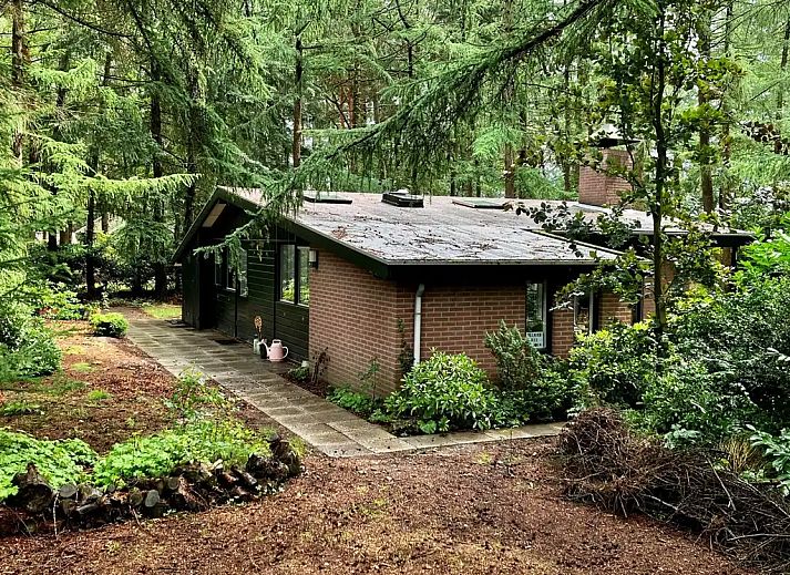 Verblijf 541814 - Bungalow Vechtstreek - Boshuisje de Lariks