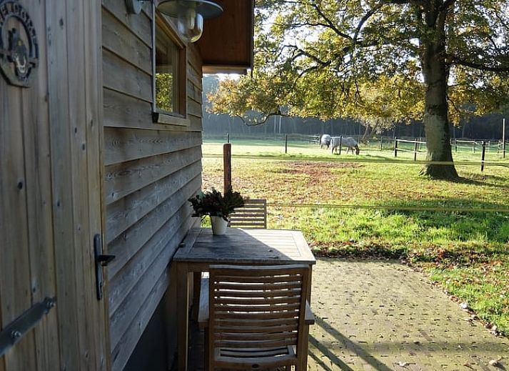 Unterkunft 541816 - Ferienhaus Vechtstreek - Huisje in Giethmen