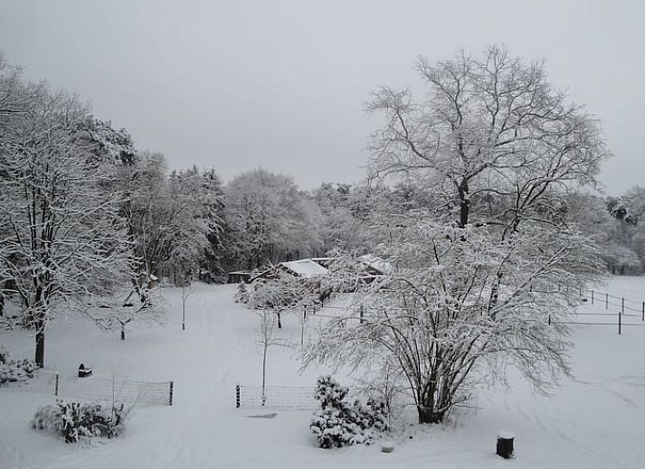 Unterkunft 541816 - Ferienhaus Vechtstreek - Huisje in Giethmen