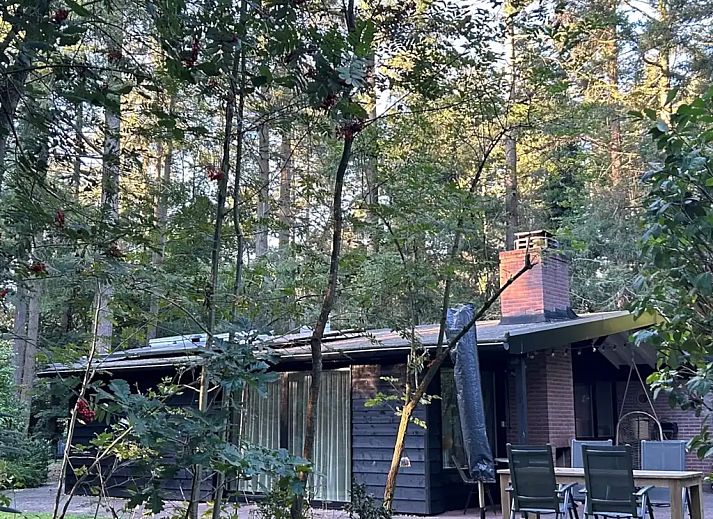 Guest house 541817 - Holiday property Vechtstreek - Huisje 162