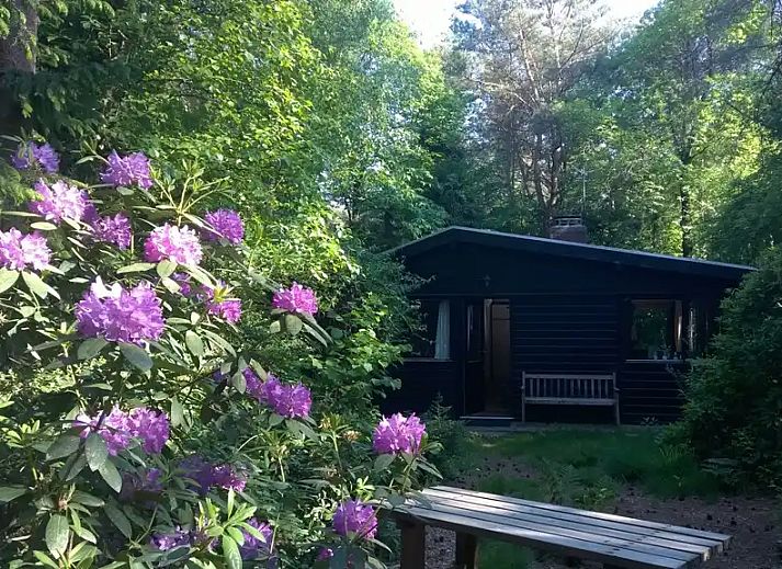 Verblijf 541821 - Bungalow Vechtstreek - Huisje 140