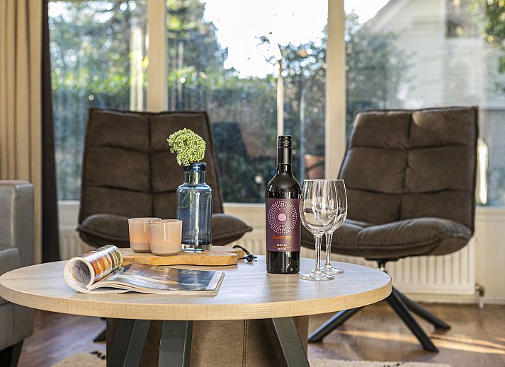 Stylish details in the living room of De Vlegge 6-person bungalow 6C2, Sibculo, Vechtstreek.