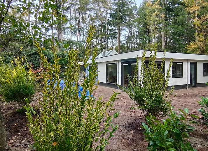 Unterkunft 542406 - Ferienhaus Vechtstreek - Vakantiehuis in Vilsteren
