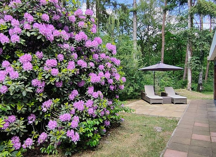 Unterkunft 542406 - Ferienhaus Vechtstreek - Vakantiehuis in Vilsteren