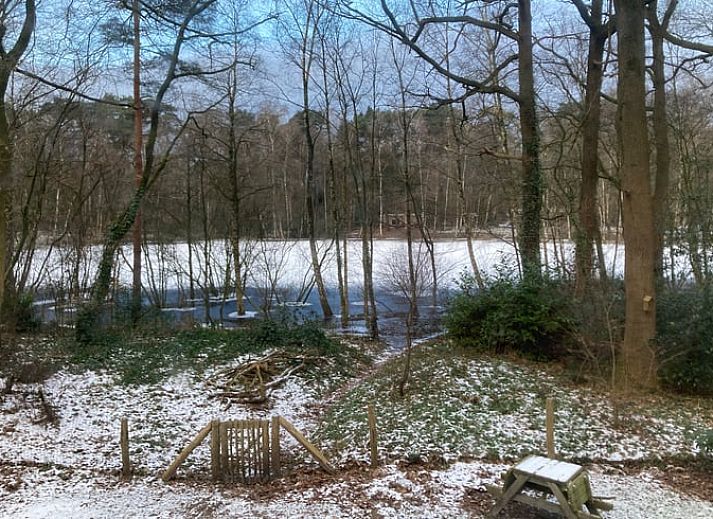 Unterkunft 542408 - Ferienhaus Vechtstreek - Vakantiehuisje in Vilsteren