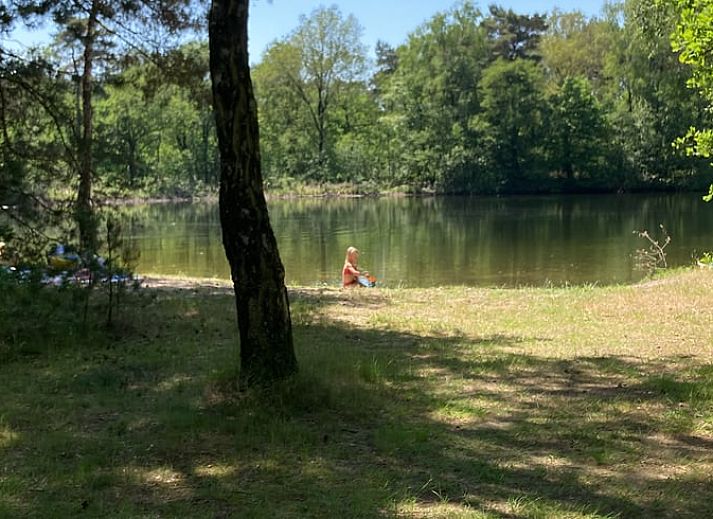 Unterkunft 542408 - Ferienhaus Vechtstreek - Vakantiehuisje in Vilsteren