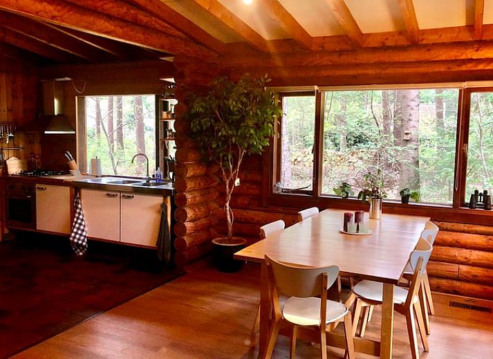 Huisje in Bergentheim, vakantiehuis in het bosrijke Vechtstreek, Overijssel met houten buitenkant en terras.
