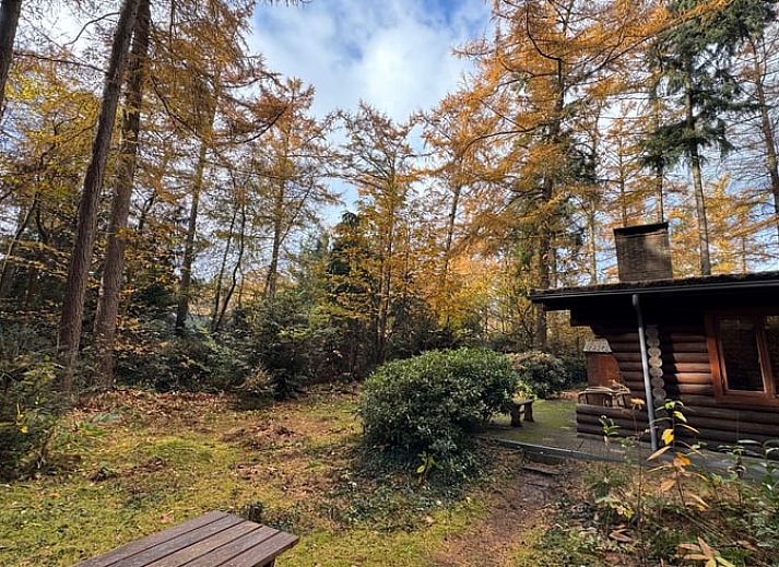 Open kitchen and dining area in Cottage in Bergentheim, cottage in the Vecht region, Overijssel with views of nature.