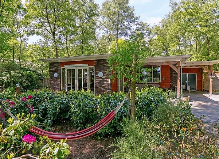 Vakantiehuis in Bergentheim met hangmat in de tuin, omgeven door groene natuur in de Vechtstreek, Overijssel.