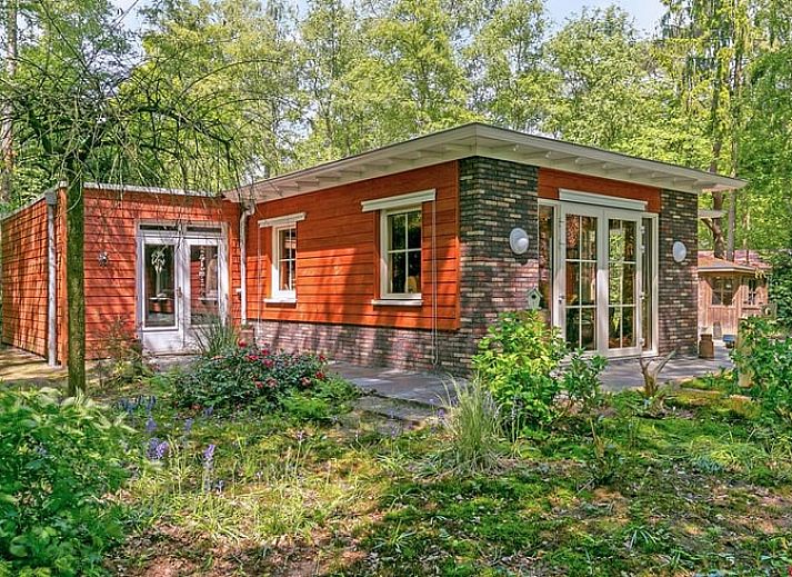 Vakantiehuis in Bergentheim met hangmat in de tuin, omgeven door groene natuur in de Vechtstreek, Overijssel.