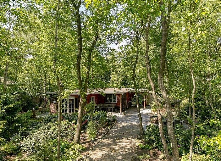 Gezellig terras bij Vakantiehuis in Bergentheim, gelegen in de bosrijke omgeving van de Vechtstreek, Overijssel.