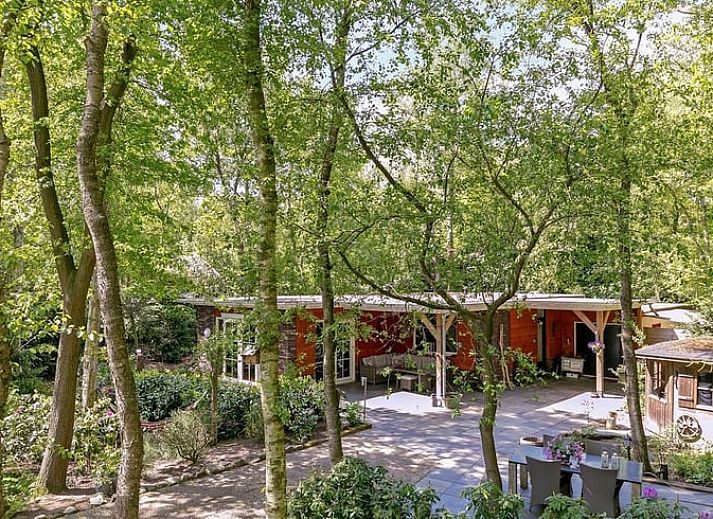 Gezellig terras bij Vakantiehuis in Bergentheim, gelegen in de bosrijke omgeving van de Vechtstreek, Overijssel.