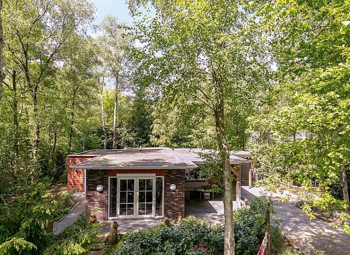 Gezellig terras bij Vakantiehuis in Bergentheim, gelegen in de bosrijke omgeving van de Vechtstreek, Overijssel.