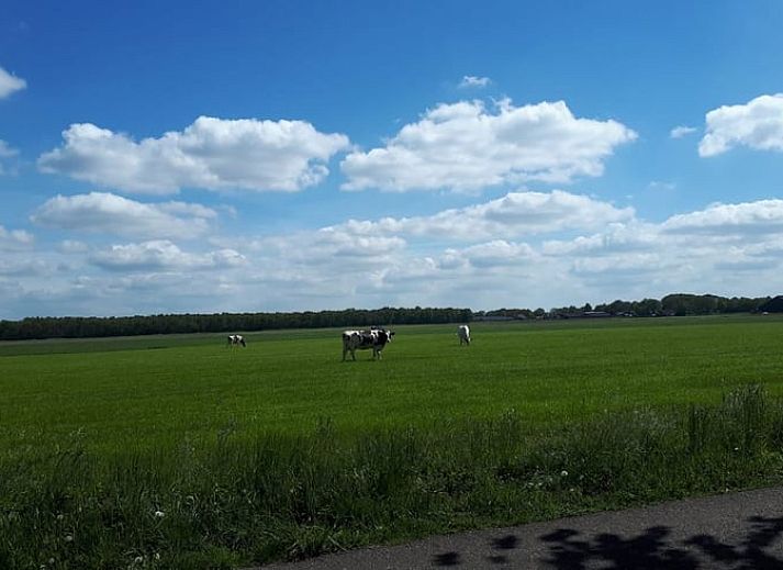 Rode gevel van Vakantiehuis in Bergentheim, omgeven door bloeiende tuinen in de Vechtstreek, Overijssel.